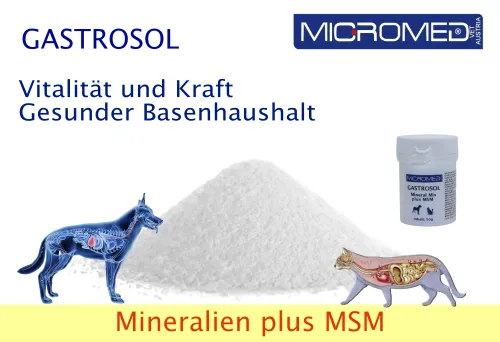 Nahrungsergänzung für Hund und Katze, Gastrol 50gr - Micromed