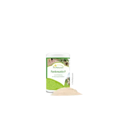 Pankreatin P  100g
