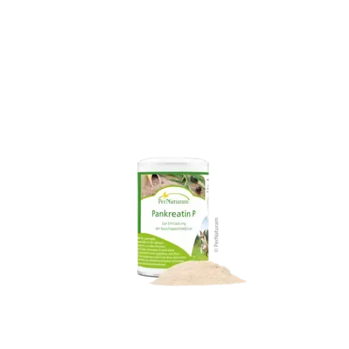 Pankreatin P  100g