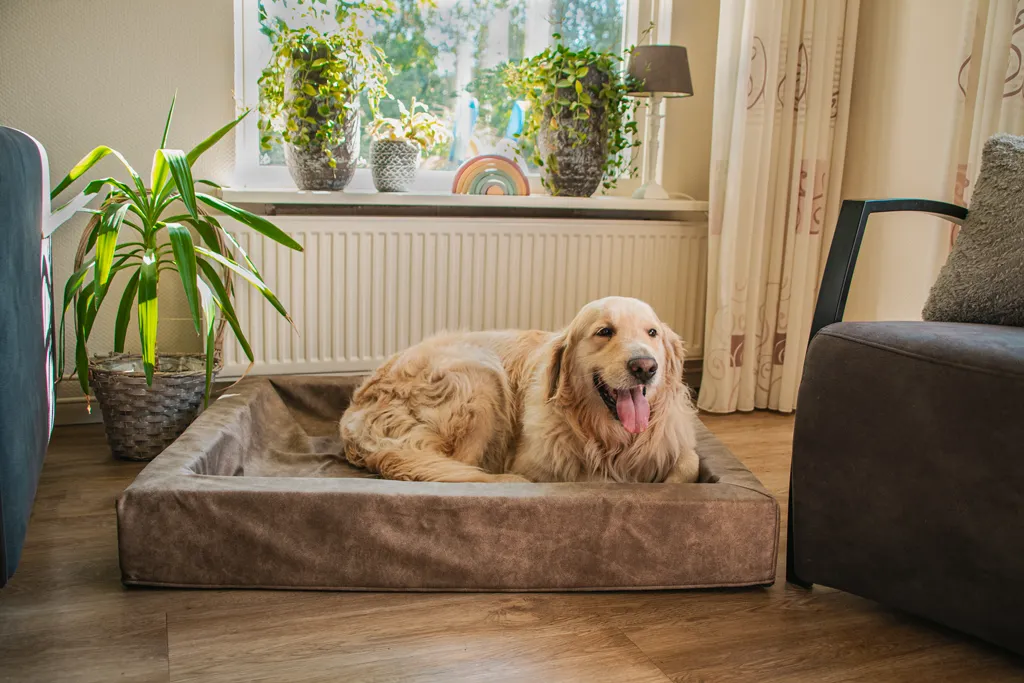 Let's Sleep Comfy Cushion Hundekorb XL Cognac