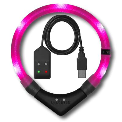 LED-Halsband Easy Charge 35 cm hotpink – LEUCHTIE