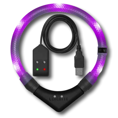 LED-Halsband Easy Charge 35 cm lavendel – LEUCHTIE