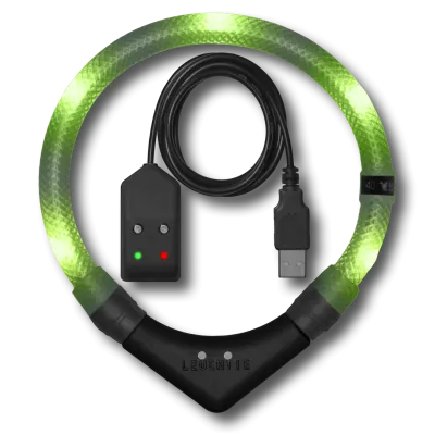 LED-Halsband Easy Charge 35 cm limette – LEUCHTIE