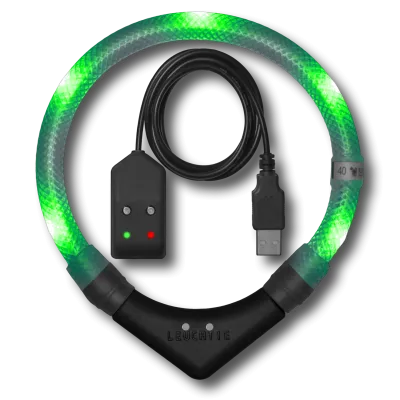 LED-Halsband Easy Charge 45 cm grün extra hell – LEUCHTIE