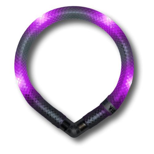 LED-Halsband Mini 30 cm grün – LEUCHTIE