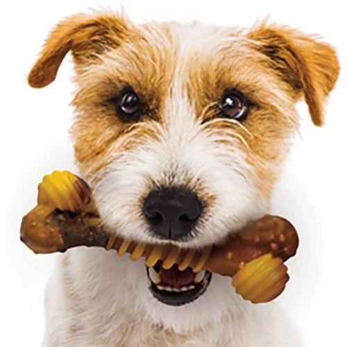 Nylabone Extreme Texture Bone S, 11cm