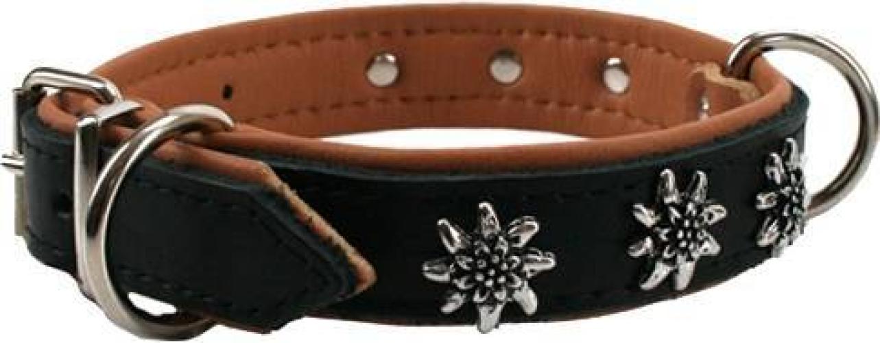 Halsband mit Lederfutter, Edelweissdekor, 50 cm 25 mm, schwarz