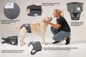 Läufigkeitshose / Inkontinenzhose für Hunde - rot und grau Grösse 2 (Abverkauf solange Vorrat) - rot