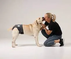 Läufigkeitshose / Inkontinenzhose für Hunde - rot und grau Grösse 2 (Abverkauf solange Vorrat) - rot
