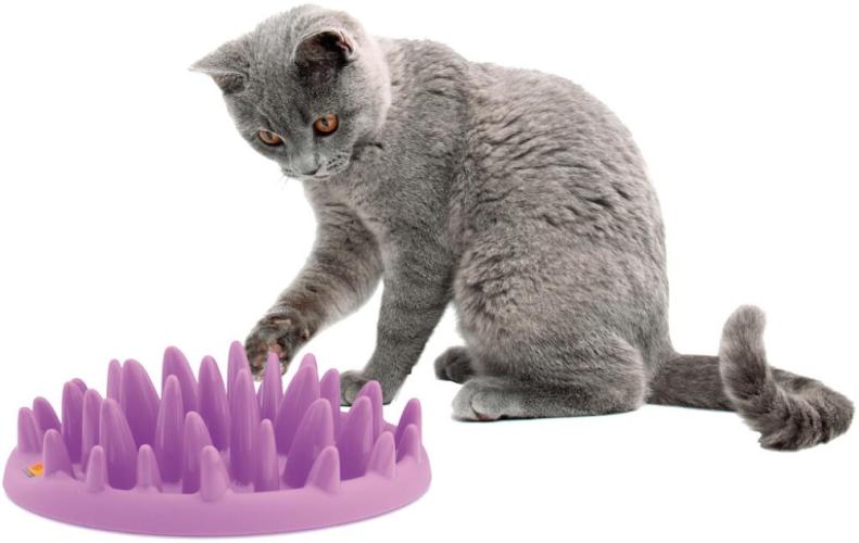 Catch Cat Feeder