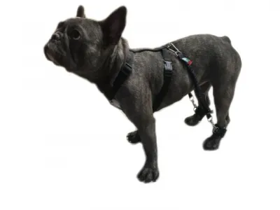 biko® Hundeexpander Grösse 3 52-59cm Komplettset – Gehhilfe & Training für Hunde