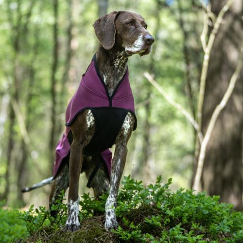 HUNDLANDS  Fleecemantel SPORT Deep Plum 62