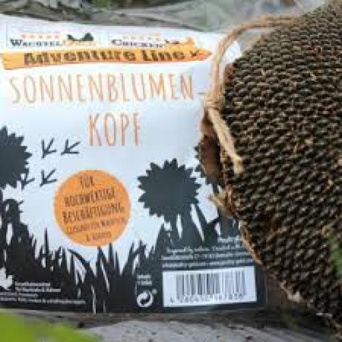 Sonnenblumenkopf – 1 Stück ca. 200 g – federgold® - getrockneter Beschäftigungssnack für Wachteln und Hühner