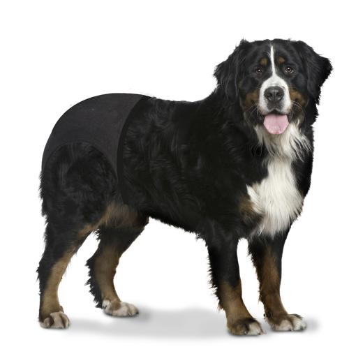 Laroy EBI DuvoPlus Hundehosen 60-70cm