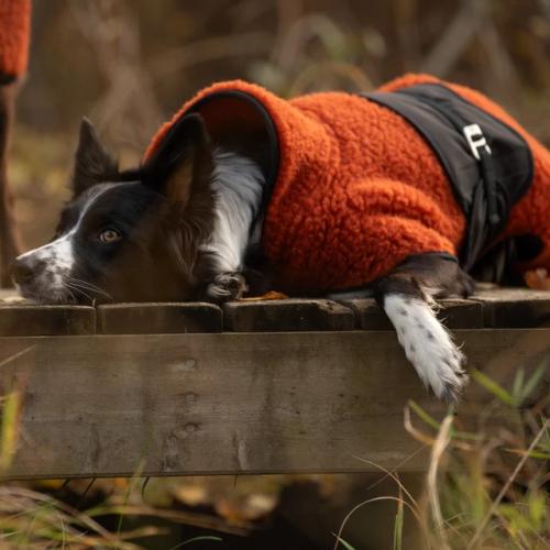 HUNDLANDS  HYBRIDO WOOL COAT  Burnt Orange 29