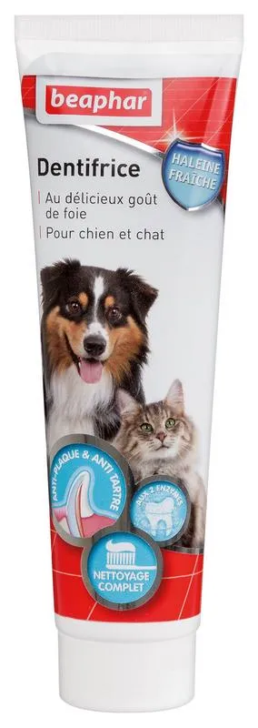 Zahnpasta 100 g – Beaphar