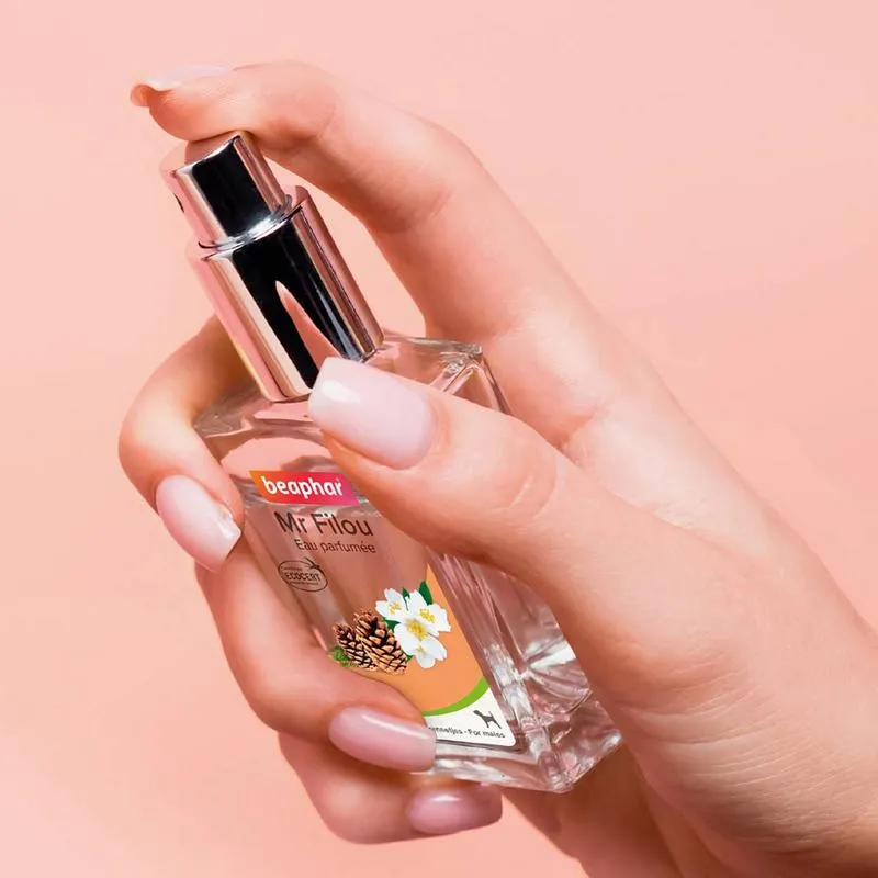 Hundeparfum Filou 50ml – Beaphar