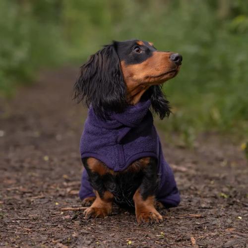 Ruff and Tumble Classic Collection Classic Dog Raincoat – Blackberry XXS