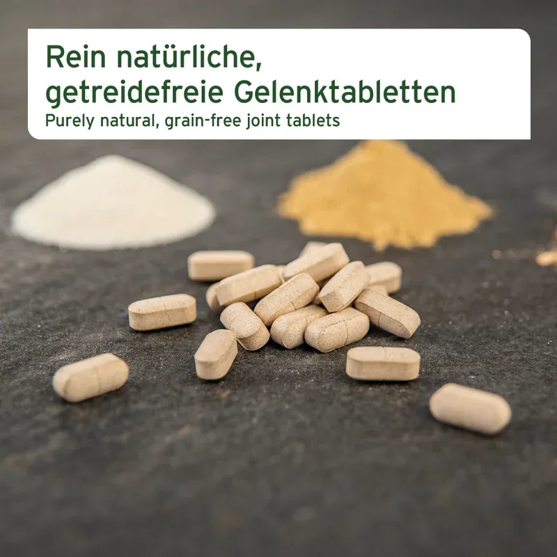 AniForte AgilityVET Gelenktabletten 300 Stk
