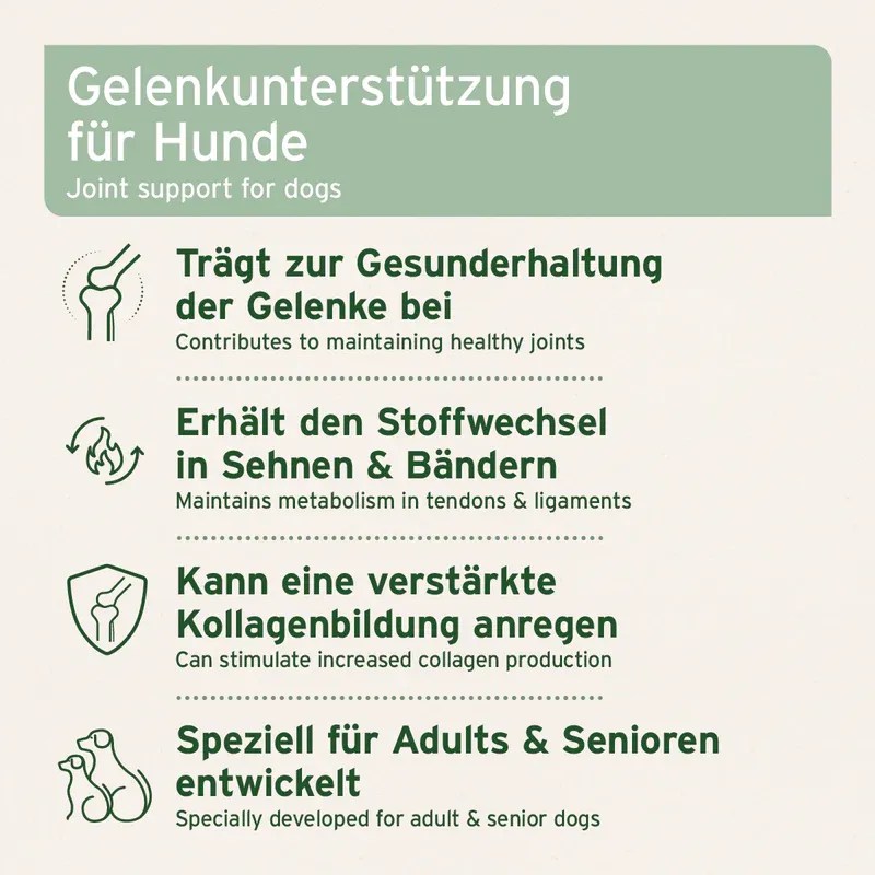 AniForte AgilityVET Gelenktabletten 300 Stk