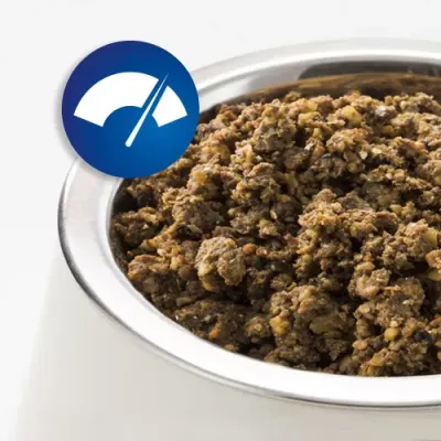 AktivDog Leistungsfutter mit Hering 5x500g