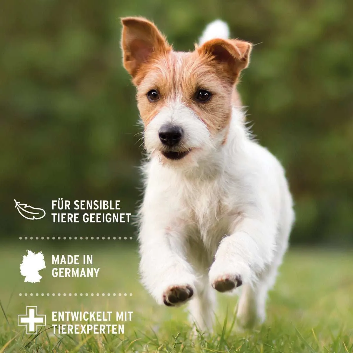 AniForte® VET Ohrenreiniger Kamille 250ml