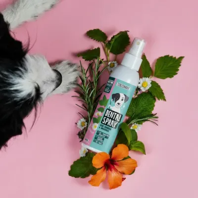 Tierliebhaber Dentalspray 150ml