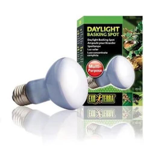Exo Terra Daylight Basking Spot R25 100W Terrarienlampe