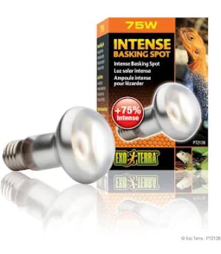 Exo Terra Intense Basking Spot S25 100W Terrarienlampe
