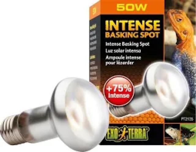 Exo Terra Intense Basking Spot S20/75W, + 75% Intense