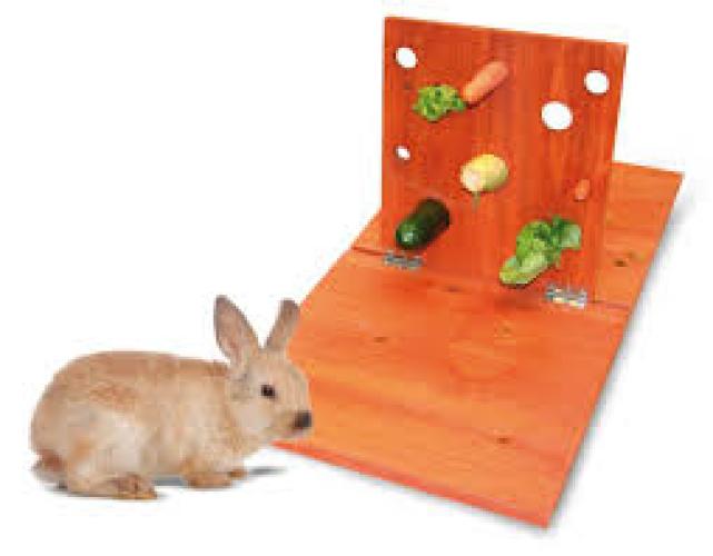 Futter-Tafel 80x40x36 cm, für Kaninchen – swisspet