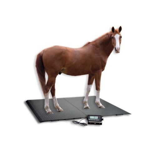 Tierwaage 6958 bis 1500 kg – Soehnle Professional