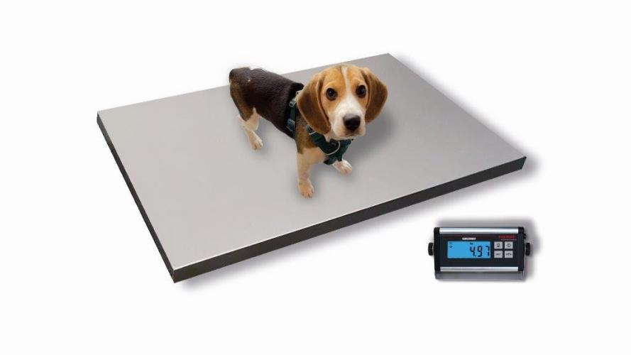 Tierwaage 6858 bis 200 kg – Soehnle Professional
