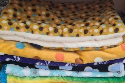 70 x 45 cm