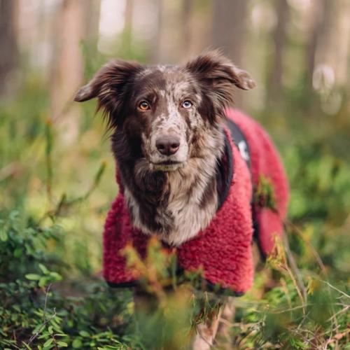 HUNDLANDS  WOOL COAT HYBRIDO Wild Pink 80
