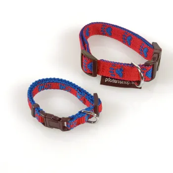 Klickhalsband Pfoten rot - blau – 1.5cm, 18.5-26cm