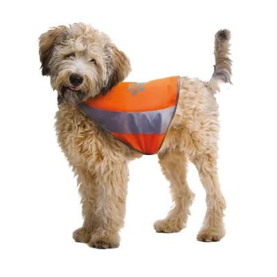 Reflektierende Jacke für Hunde – XL – Croci