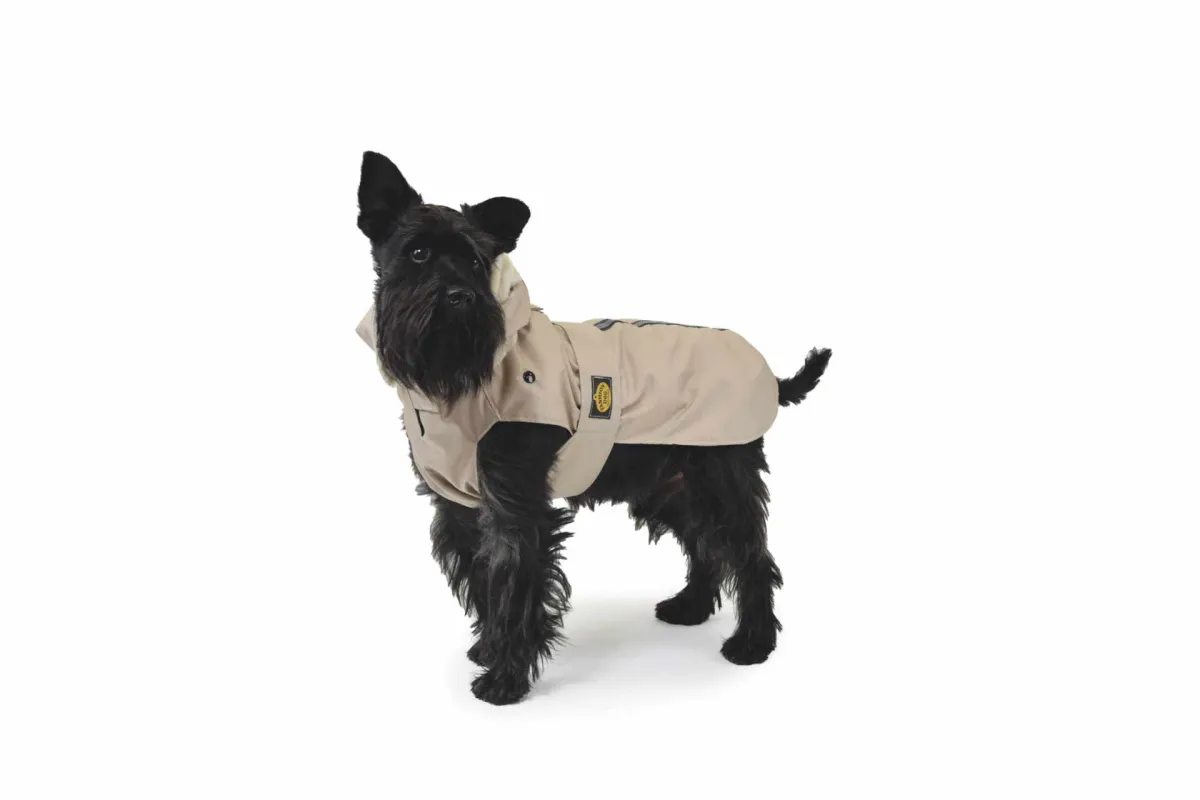 Fashion Dog Regenmantel Art. 242 Beige – Grösse 47 – Fashion Dog - gefütterter Hunderegenmantel mit abnehmbarer Kapuze