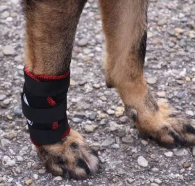 Hund Bandage TSM7501 für das Vorderbein – XS
