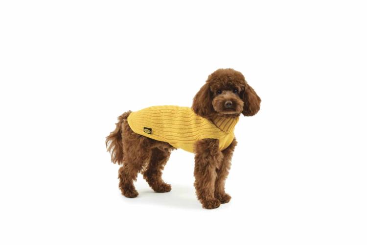 Hundestrickpullover gelb Grösse 30 - Zopf Merinowolle Acryl - Fashion Dog