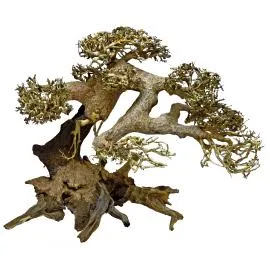 Super Fish Bonsai Driftwood XS 13 x 10 13 cm