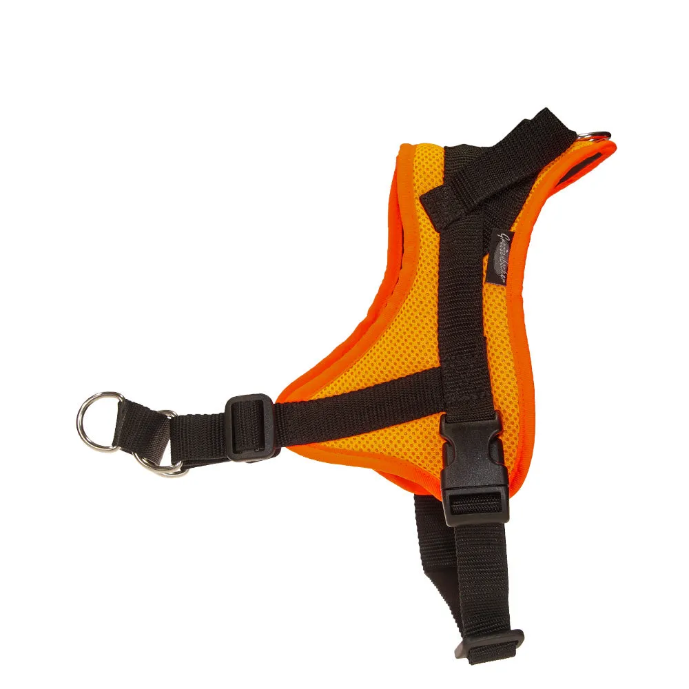 Ausbildungsgeschirr Guide M, Leuchtorange | Grossenbacher