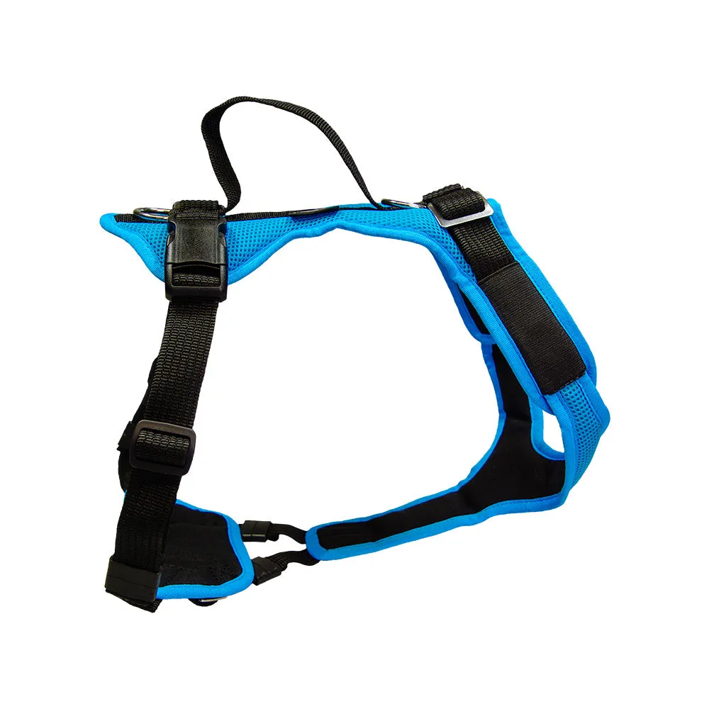 Hundegeschirr Vary 4XS – 6XS, Türkis | Grossenbacher