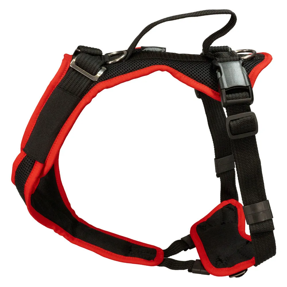 Hundegeschirr Vary S – XXS, Schwarz–Rot | Grossenbacher