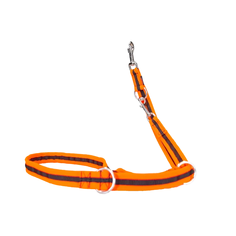 Hundeleine eingefasst 200 c m, 25 mm, Leuchtorange, 3-fach verstellbar | Grossenbacher