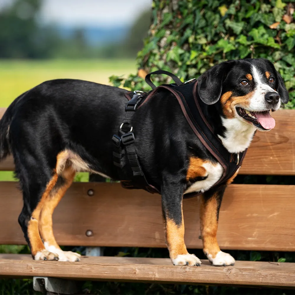 Hundegeschirr Dog’s Fun Run PROGuide, Grösse S, Dunkelbraun–Schwarz | Grossenbacher