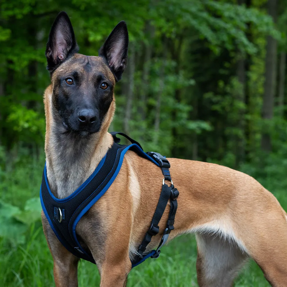 Hundegeschirr Dog’s Fun Run PROGuide, Grösse XXS, Dunkelbraun–Schwarz | Grossenbacher