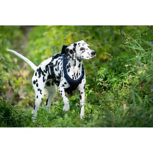 Hundegeschirr Vary Pro Guide, Grösse XL, Schwarz–Beige | Grossenbacher