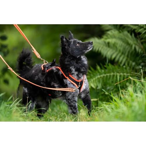 Hundegeschirr Vary Pro Guide, Grösse XL, Schwarz–Beige | Grossenbacher
