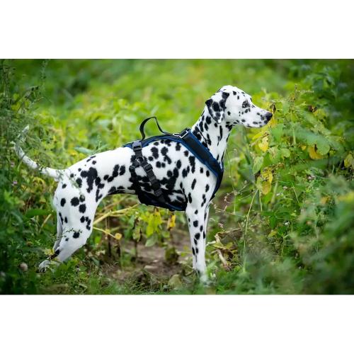 Hundegeschirr Vary Pro Guide, Grösse XXS, Schwarz–Beige | Grossenbacher